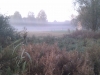 Early morning mist