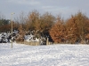 Gateway in the Snow