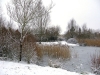 Pond in Winter